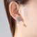 Feather Bead Earrings Platinum Plated Fashion AAA Zircon Wings Women's Pearl New Earrings