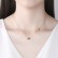 New style gold-plated copper inlaid zircon personality clavicle chain Fashion temperament women's necklace