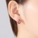 Lover's Tears AAA Zircon Earrings Water Drops 8*12 Zircon Champagne Gold Real Gold Plating Female