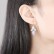 Light leaf winter sweet Korean copper inlaid zircon earrings, personalized fashion pearl female earrings factory wholesale