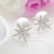 Crystal bead earrings European and American fashion zircon star pearl earrings personalized silver needle earrings wholesale jewelry