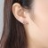 Snow White Earrings Korean Style Zircon Fashion Simple Women's Small Earrings Small Jewelry