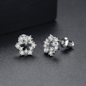 Snow White Earrings Korean Style Zircon Fashion Simple Women's Small Earrings Small Jewelry