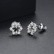 Snow White Earrings Korean Style Zircon Fashion Simple Women's Small Earrings Small Jewelry