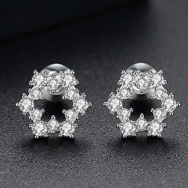 Snow White Earrings Korean Style Zircon Fashion Simple Women's Small Earrings Small Jewelry