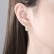 New style copper-inlaid zircon Korean women's earrings, stylish and stylish geometric earrings