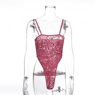 Explosive spring new products women's lace mesh yarn show powder sexy bottoming one-piece wholesale