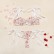 European and American new style women's see-through lace mesh embroidered bandage bra underwear set