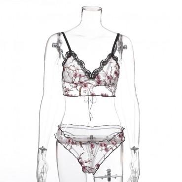 Hot-selling women's classic embroidery mesh lace lace new female sexy underwear set