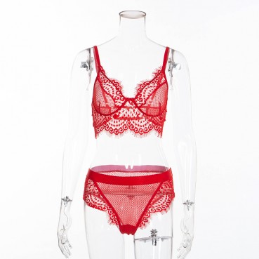 Hot selling sexy women's lace lace eyelashes love mesh panties set