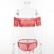 Summer women's new sexy lace lingerie set