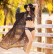 European and American new positioning printing chiffon sunscreen cardigan sexy bikini beach blouse