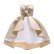 New European and American children's clothing girls vest princess dress Christmas dress skirt New Year performance dress embroidered dress