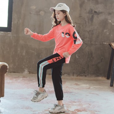 Girls' suits, autumn clothes, new children's western style, net red children's clothes, autumn girls clothes, fashionable two-piece suits