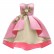 New European and American children's clothing girls vest princess dress Christmas dress skirt New Year performance dress embroidered dress