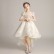 Girls birthday princess dress flower girl wedding dress dress fluffy yarn children's host catwalk Western style children's dress