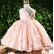 2021 autumn new baby one-year-old dress girl child birthday girl princess dress flower girl girl evening dress western style
