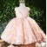 2021 autumn new baby one-year-old dress girl child birthday girl princess dress flower girl girl evening dress western style