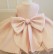 2021 new children's dress princess dress white girl wedding dress one year old birthday evening dress skirt baby pettiskirt
