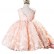 2021 autumn new baby one-year-old dress girl child birthday girl princess dress flower girl girl evening dress western style