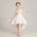 Girls dresses, princess dresses, new puffy yarn catwalk dresses, girls piano performance clothes, children's host dresses
