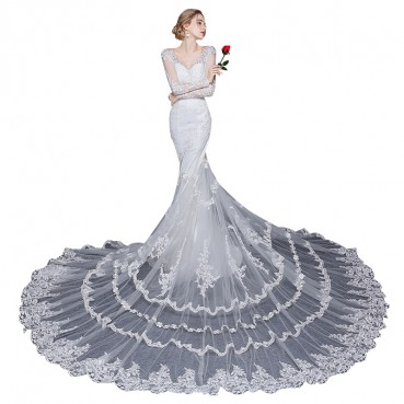 Wedding dress 2021 new long sleeve V-colored fish tail tail dress custom slim slim fashion large size lace wedding dress